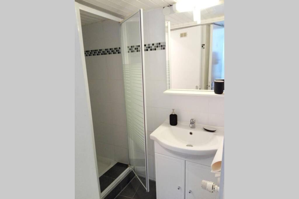 Appartement Cosy Rue Sainte Madeleine Strasbourg Ngoại thất bức ảnh